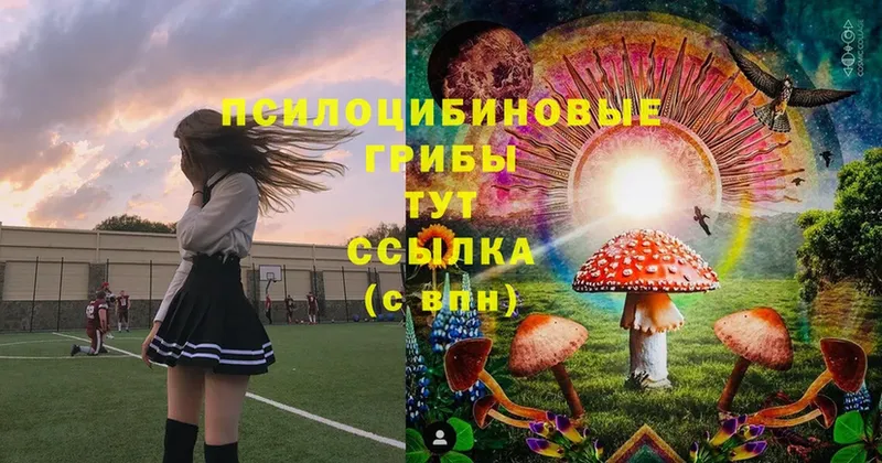 Галлюциногенные грибы Magic Shrooms  Северо-Курильск 